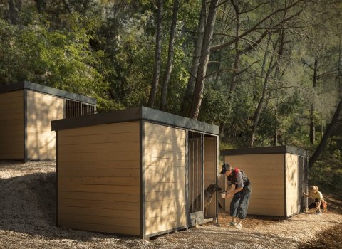 Case mobili Croazia Lanterna Premium Camping Resort