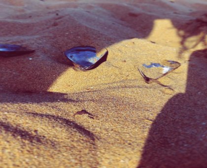 Etiquette on the Beach